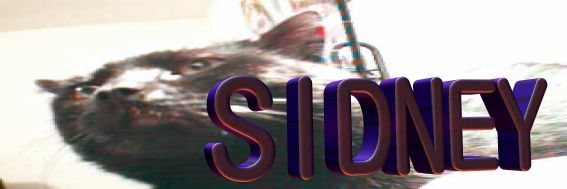 Image of SIDY.jpg